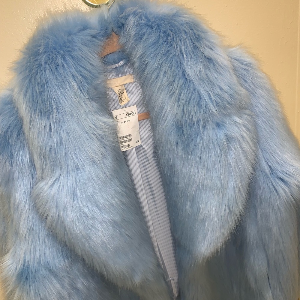 Baby blue fur